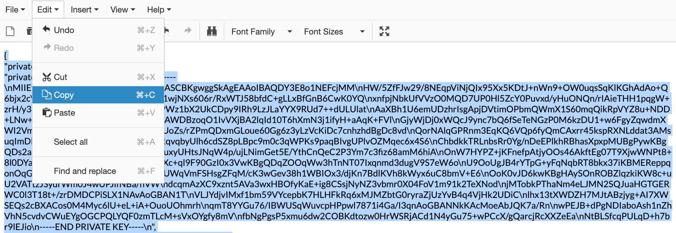 Google Cloud Engine JSON key